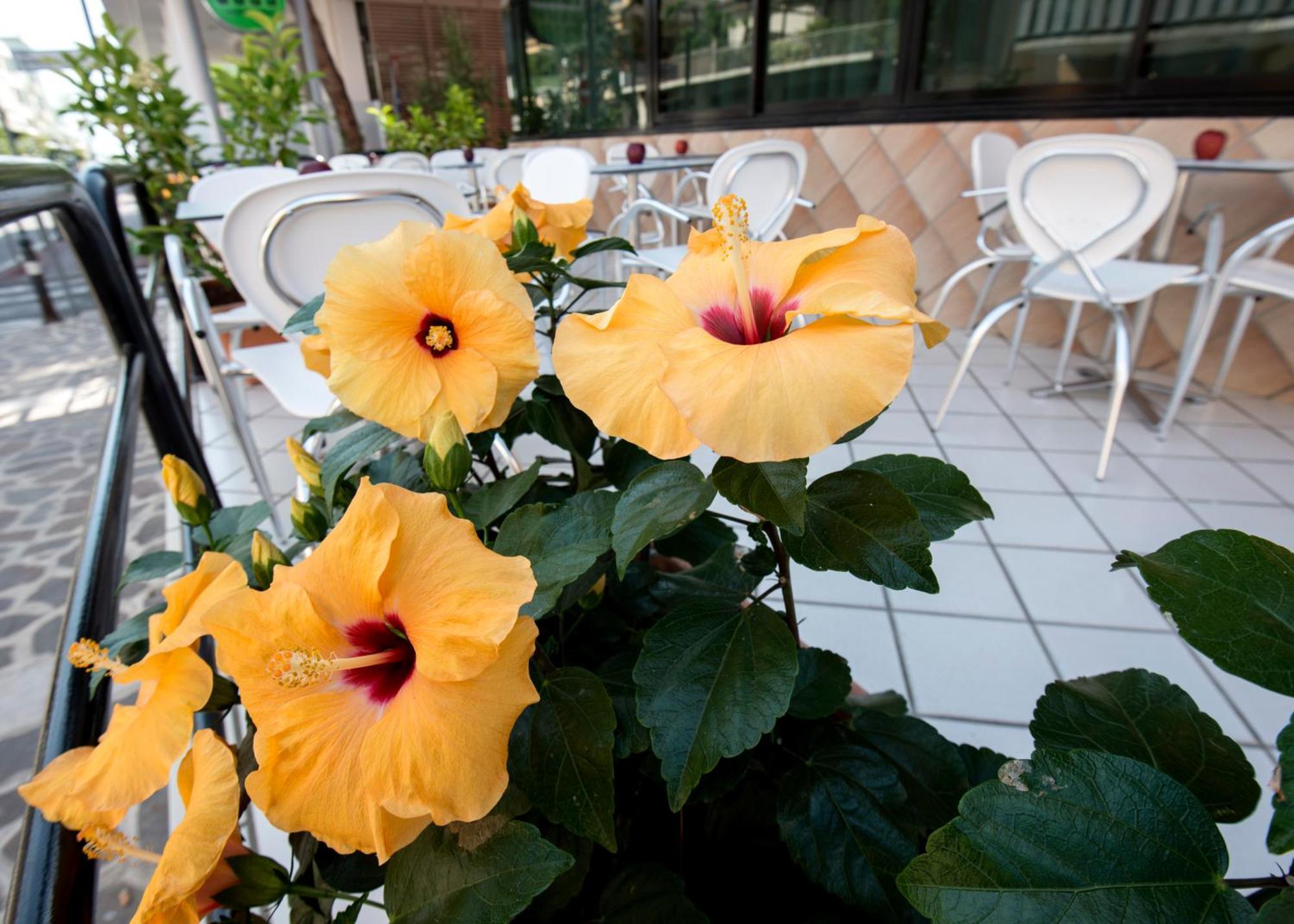 Hotel Scarlet Rimini Exterior foto